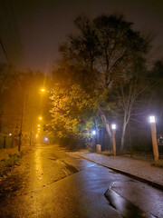 Street near Julianowski Park in Lodz lit with street lamps on a cloudy foggy autumn night, Lodz, Poland.