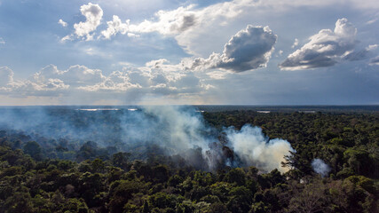 Mysterious smoke over green canopy French Guiana forest