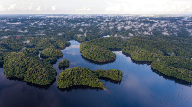 Labyrinth of water and greenery at Petit-Saut.
