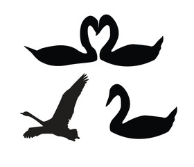 vector swan couple silhouette