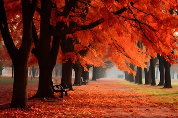 Fotobehang Yellow, orange and red autumn leaves in fall park. © Arnik