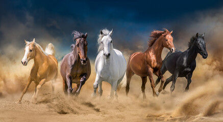 Horses run forward