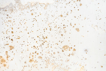 Mold on the surface of the bathroom. Dark mold close-up on bathroom enamel. Dirty white surface.