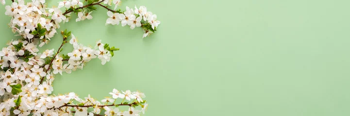 Fotobehang Festive banner with spring flowers, flowering cherry branches on a light green pastel background © pundapanda