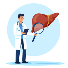 Flat vector illustration. A doctor Hepatologist, gastroenterologist holding a large magnifying glass and studying the health of the liver. Vector illustration