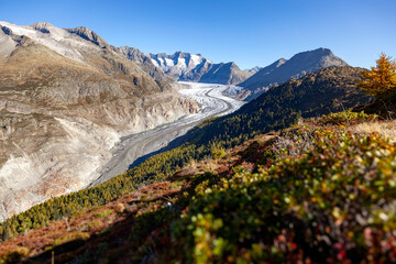 Aletsch glacier, the longest glacier of the Alps. Located in Valais, Switzerland - obrazy, fototapety, plakaty