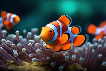 Fototapeta na wymiar Clownfish in the ocean. Ai Generative