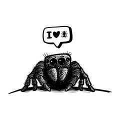 cartoon illustration of a spider with speech bubble. I love flys.