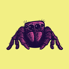 pop art illustration of a tarantula