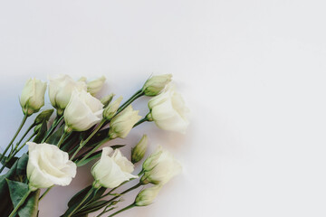 Obraz na płótnie Canvas Eustoma grandiflorum white flowers on white background, top view. Festive background, flat lay, copy space