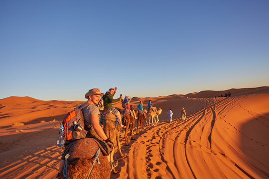 Saharan Serenity: Camel Trekking Delight