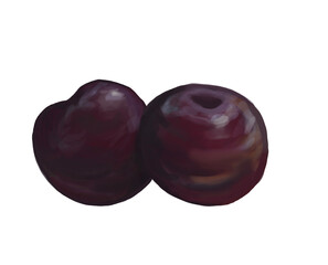 Watercolor couple of fiolet plums