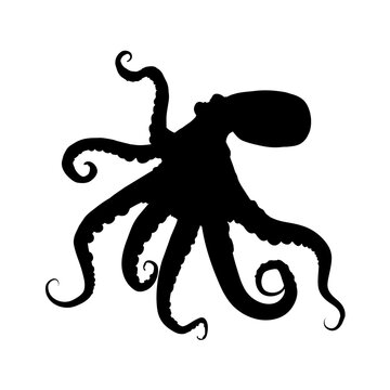 recommend clip art: octopus silhouette - vector illustration