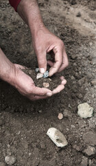 Male hands choose stones from the ground