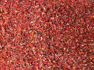 Wonderful Spices of the Grand Baazar, N&deg;3