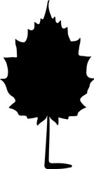 Sketch autumn leaves