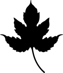 Sketch autumn leaves