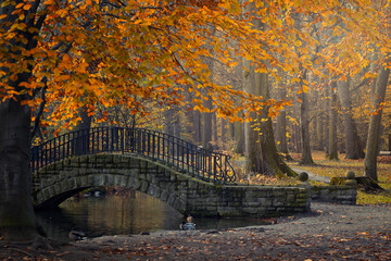 Poranek jesienny w parku, krajobraz 