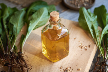 Dandelion root tincture in a glass bottle on a table