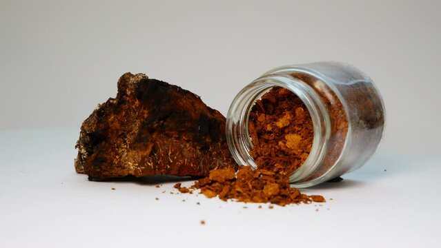 Smooth rotation of Inonotus obliquus (chaga mushroom) on pure white. Scientific wonder for body research, anti-cancer, immune enhancement, tea substitute. Folk medicine showcased with raw chaga