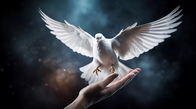 white dove takes flight from the hands, a symbol of peace