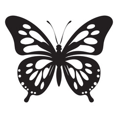 Black and white Butterfly Drawing vector,print ready eps,