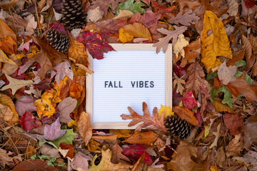 Fall Vibes Letter Message Board Promotional Message In Frame Pile of Colorful Autumn Leaves