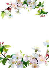 Beautiful apple blossom flowers frame illustration.Hello spring concept design with copy space. Easter blooming flower. Pink cherry blossom artwork with place for text.