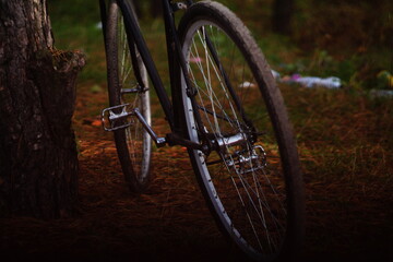 old bicycle