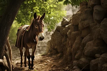 Fotobehang Man speak with donkey, Bible story. © Bargais