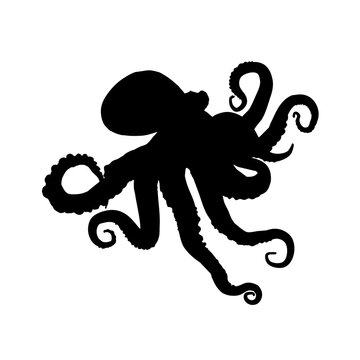 recommend clip art: Octopus silhouette - vector illustration