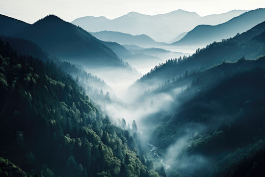 Fototapeta Landscape of a forest valley with a river covered in fog in the morning