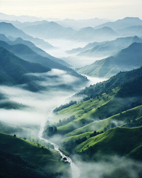 Landscape of a forest valley with a river covered in fog in the morning
