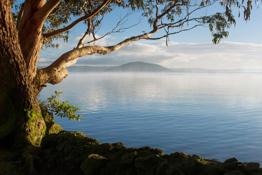 Early morning at Lake Rotorua lakefront with Mokoia Island in the distance