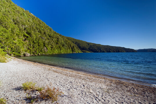 Sandy beach on Lake Okataina, Rotorua,New Zealand