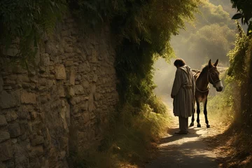 Muurstickers Man speak with donkey, Bible story. © Bargais