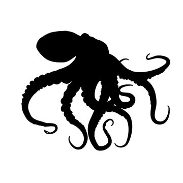 recommend clip art: Octopus silhouette - vector illustration