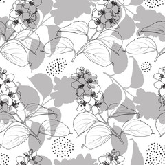 Floral vector seamless pattern with outline jasmine flowers, leaves and shapes.