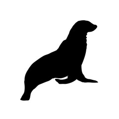 Seal silhouette - vector illustration