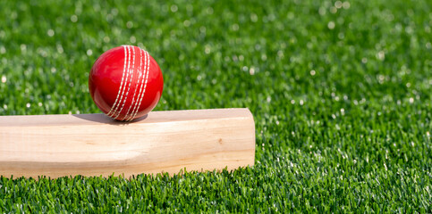 Cricket bat and red ball with natural lighting on green grass. Horizontal sport theme poster, greeting cards, headers, website and app
