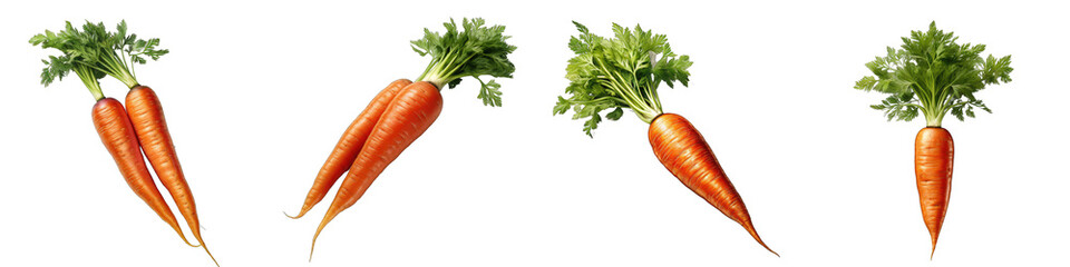 Carrot  Hyperrealistic Highly Detailed Isolated On Transparent Background Png File
