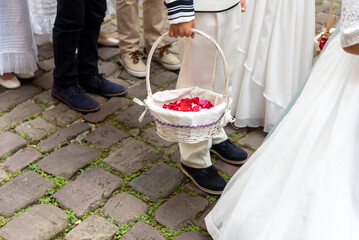 Detail shot of a child in communion dress carrying a white basket full of red rose petals and...