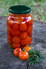 On a wooden background there are ripe tomatoes in the background of a can of canned tomatoes. The concept of preparing products for long-term storage.