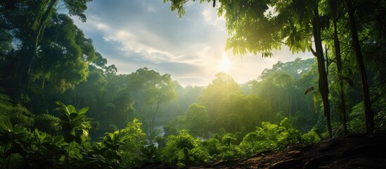 The lush green landscape of the tropical jungle in Thailand creates a stunning backdrop with the sunlight filtering through the leaves of the towering trees casting a beautiful light on the  - obrazy, fototapety, plakaty