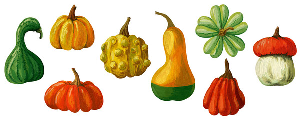 Set with a pattern of decorative pumpkins. Gouache decorative pumpkins.