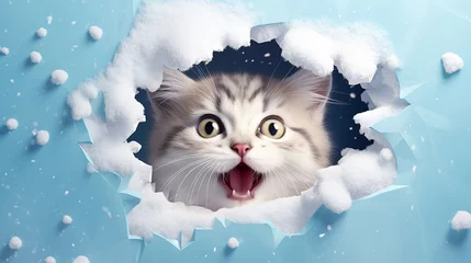 Foto op Canvas Buraco 3D na parede de neve com um gato fofo e brincalhão usando um chapéu de Papai Noel em uma cena de Natal no Pólo Norte © Alexandre