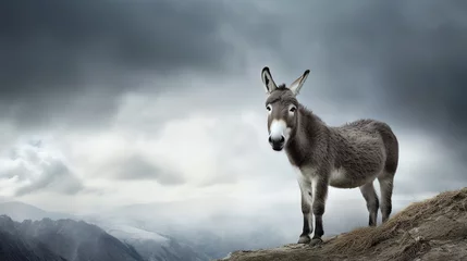 Schilderijen op glas a donkey standing on a hill © Ion