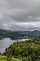 Fototapeta na wymiar Vertical shot of thick vegetation surrounding a lake under a cloudy gloomy sky