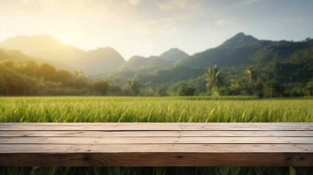 Empty wood table and blurred rice field and mountain landscape at morning. Empty wooden table with rice field and sunshine