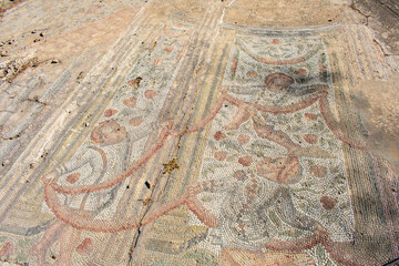 Obraz premium Panoramic view of ancient ruins with thermal baths, archaeological site in Carthage. Tunis, Tunisia 